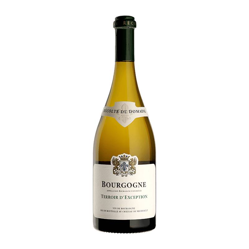 Domaine du Château de Meursault : Bourgogne Terroir d'Exception 2022 von Domaine du Château de Meursault