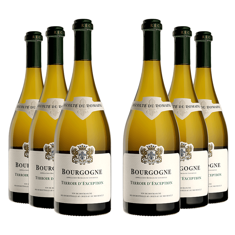 Domaine du Château de Meursault : Bourgogne Terroir d'Exception 2023 Domaine du Château de Meursault : Bourgogne Terroir d'Exception 2023 von Domaine du Château de Meursault