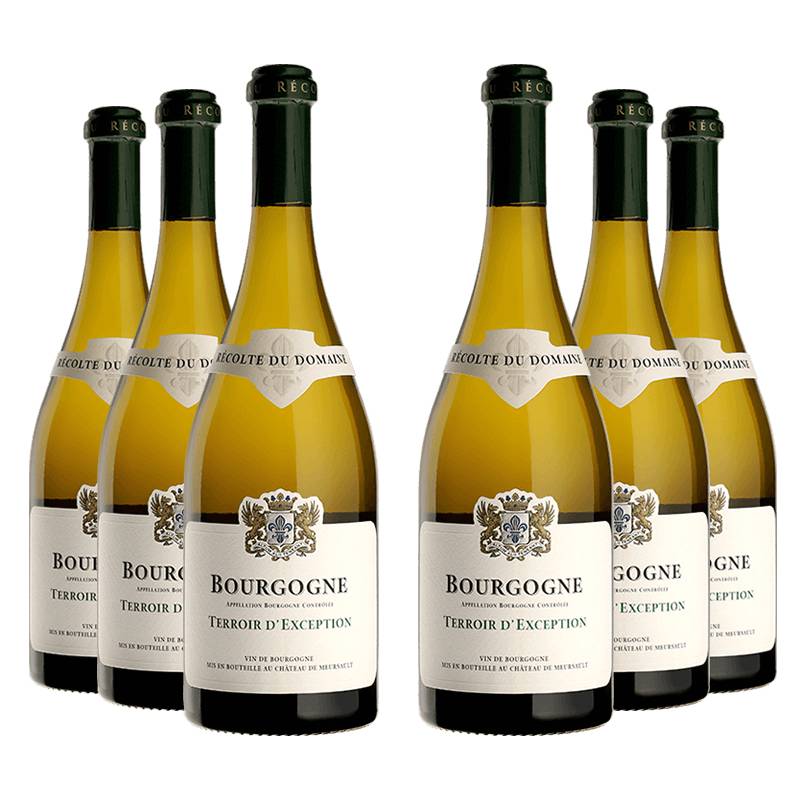 Domaine du Château de Meursault : Bourgogne Terroir d'Exception 2023 von Domaine du Château de Meursault