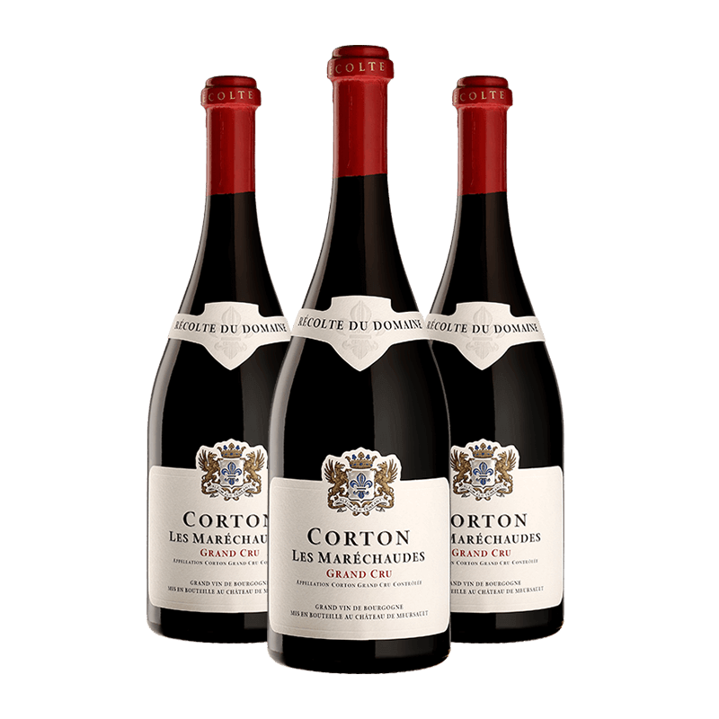 Domaine du Château de Meursault : Corton Grand cru "Les Maréchaudes" 2023 Domaine du Château de Meursault : Corton Grand cru "Les Maréchaudes" 2023 von Domaine du Château de Meursault
