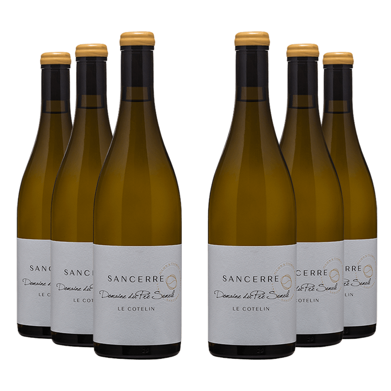 Domaine du Pré Semelé : Le Cotelin 2022 Domaine du Pré Semelé : Le Cotelin 2022 von Domaine du Pré Semelé