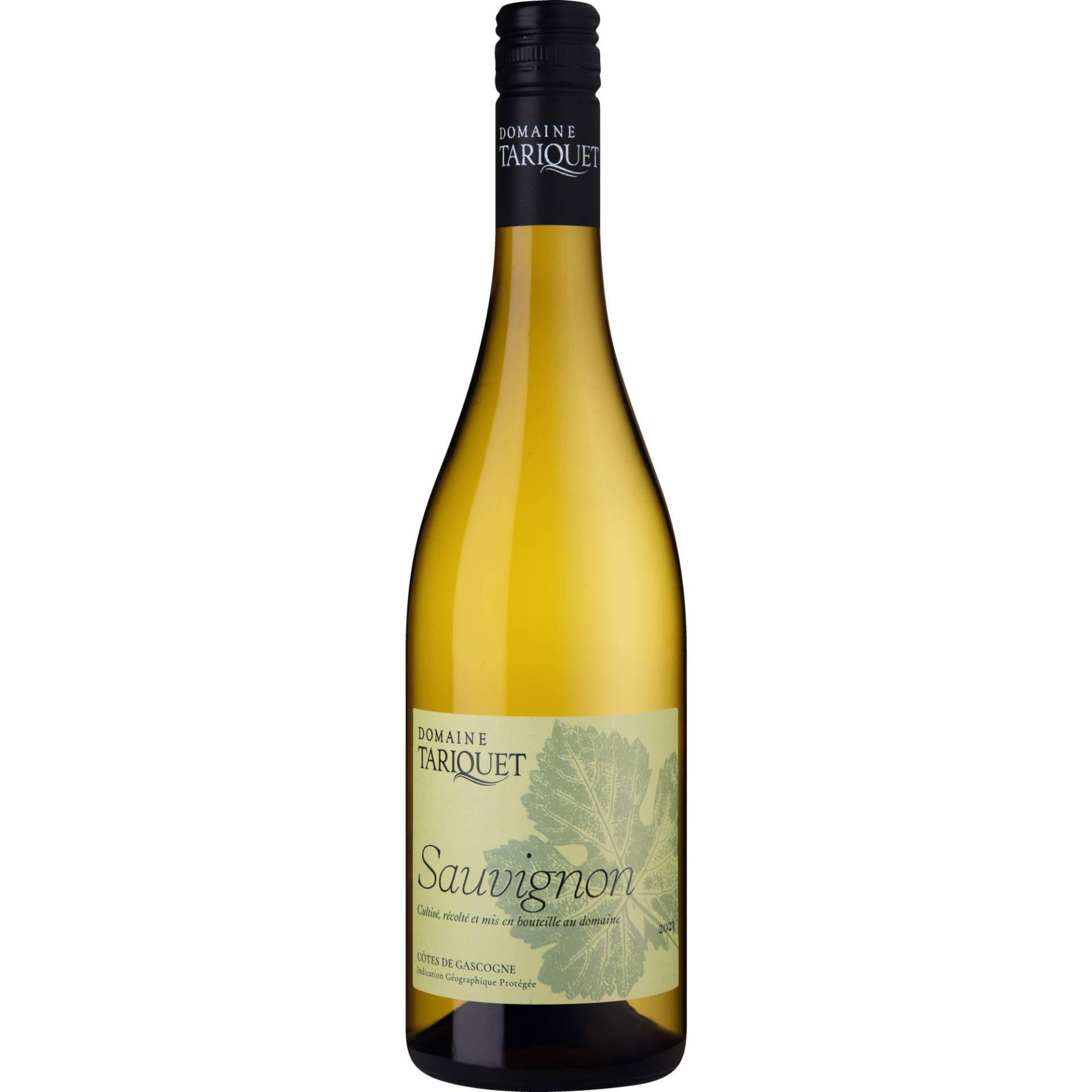 Domaine Tariquet Sauvignon Blanc, Côtes de Gascogne IGP, Südwestfrankreich, 2023, Weißwein von Domaine du Tariquet - SCV Chateau du Tariquet Propriétaire - 32800 Éauze (Gers) - France