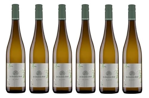 6x 0,75l - 2023er - Dr. Bürklin-Wolf - Blanc - Qualitätswein Pfalz - Deutschland - Weißwein trocken von Dr. Bürklin-Wolf