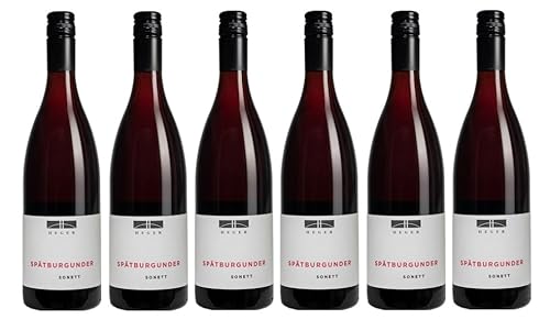 6x 0,75l - 2018er - Dr. Heger - Sonett - Spätburgunder - Qualitätswein Baden - Deutschland - Rotwein trocken von Dr. Heger