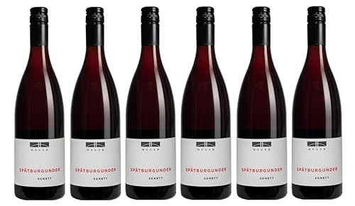 6x 0,75l - 2019er - Dr. Heger - Sonett - Spätburgunder - Qualitätswein Baden - Deutschland - Rotwein trocken 6x 0,75l - 2019er - Dr. Heger - Sonett - Spätburgunder - Qualitätswein Baden - Deutschland - Rotwein trocken von Dr. Heger