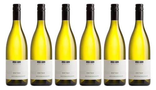 6x 0,75l - 2023er - Dr. Heger - Oktav - Grauburgunder - Qualitätswein Baden - Deutschland - Weißwein trocken von Dr. Heger