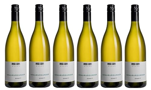 6x 0,75l - 2022er - Dr. Heger - Sonett - Grauburgunder - Qualitätswein Baden - Deutschland - Weißwein trocken von Dr. Heger