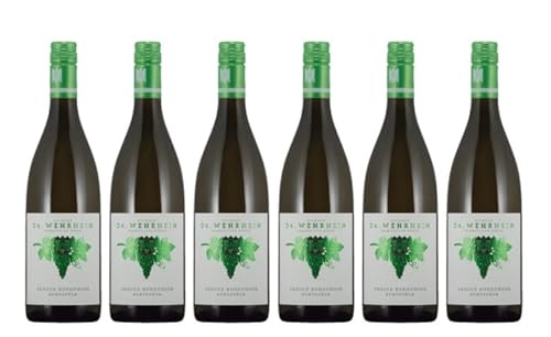 6x 0,75l - 2023er - Dr. Wehrheim - Buntstück - Grauer Burgunder - VDP.Gutswein - Qualitätswein Pfalz - Deutschland - Weißwein trocken 6x 0,75l - 2023er - Dr. Wehrheim - Buntstück - Grauer Burgunder - VDP.Gutswein - Qualitätswein Pfalz - Deutschland - Weißwein trocken von Dr. Wehrheim