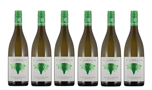 6x 0,75l - 2023er - Dr. Wehrheim - Buntstück - Weißer Burgunder - VDP.Gutswein - Qualitätswein Pfalz - Deutschland - Weißwein trocken 6x 0,75l - 2023er - Dr. Wehrheim - Buntstück - Weißer Burgunder - VDP.Gutswein - Qualitätswein Pfalz - Deutschland - Weißwein trocken von Dr. Wehrheim