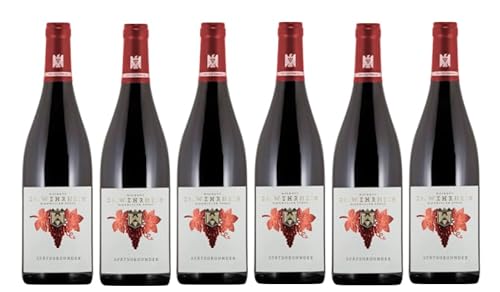6x 0,75l - 2023er - Dr. Wehrheim - Spätburgunder - VDP.Gutswein - Qualitätswein Pfalz - Deutschland - Rotwein trocken 6x 0,75l - 2023er - Dr. Wehrheim - Spätburgunder - VDP.Gutswein - Qualitätswein Pfalz - Deutschland - Rotwein trocken von Dr. Wehrheim