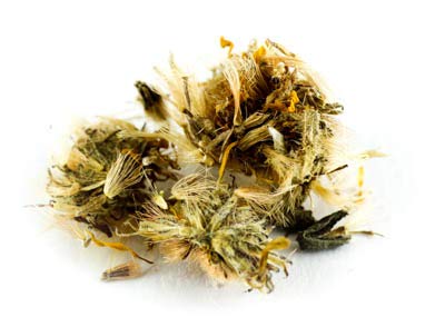 Arnikablüten mexikanisch Wildsammlung, 500g von Dragonspice Naturwaren, 500g Arnikablüten mexikanisch Wildsammlung, 500g von Dragonspice Naturwaren, 500g von Dragonspice Naturwaren