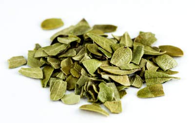 Bärentraube, geschnitten 100g von Dragonspice Naturwaren, geschnitten 100g Bärentraube, geschnitten 100g von Dragonspice Naturwaren, geschnitten 100g von Dragonspice Naturwaren