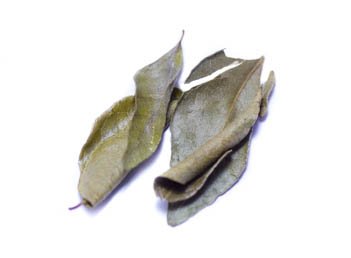 Curryblätter BIO 50g von Dragonspice Naturwaren Curryblätter BIO 50g von Dragonspice Naturwaren von Dragonspice Naturwaren
