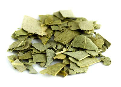 Eukalyptus BIO, geschnitten 500g von Dragonspice Naturwaren, geschnitten 500g Eukalyptus BIO, geschnitten 500g von Dragonspice Naturwaren, geschnitten 500g von Dragonspice Naturwaren