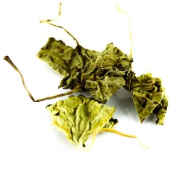 Gotu Kola Wildsammlung, 100g geschnitten von Dragonspice Naturwaren, 100g geschnitten Gotu Kola Wildsammlung, 100g geschnitten von Dragonspice Naturwaren, 100g geschnitten von Dragonspice Naturwaren