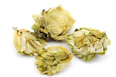 Hopfen Dolden, ganz 500g von Dragonspice Naturwaren, ganz 500g Hopfen Dolden, ganz 500g von Dragonspice Naturwaren, ganz 500g von Dragonspice Naturwaren