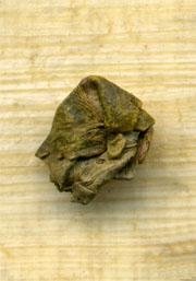 Jade Oolong, 1kg von Dragonspice Naturwaren, 1kg Jade Oolong, 1kg von Dragonspice Naturwaren, 1kg von Dragonspice Naturwaren