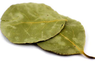 Lorbeerblätter BIO 50g von Dragonspice Naturwaren Lorbeerblätter BIO 50g von Dragonspice Naturwaren von Dragonspice Naturwaren