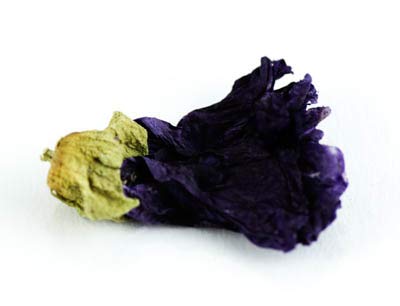 Malvenblüten, blau großblütig ganz 50g von Dragonspice Naturwaren, ganz 50g Malvenblüten, blau großblütig ganz 50g von Dragonspice Naturwaren, ganz 50g von Dragonspice Naturwaren