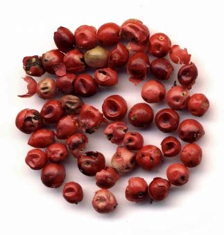 Rosa Beeren 50g von Dragonspice Naturwaren Rosa Beeren 50g von Dragonspice Naturwaren von Dragonspice Naturwaren