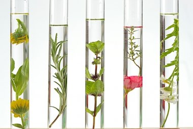 Rosenwasser bulg. BIO, 50ml Braunglas m. Sprühkopf von Dragonspice Naturwaren, 100ml Braunglas m. Sprühkopf Rosenwasser bulg. BIO, 50ml Braunglas m. Sprühkopf von Dragonspice Naturwaren, 100ml Braunglas m. Sprühkopf von Dragonspice Naturwaren