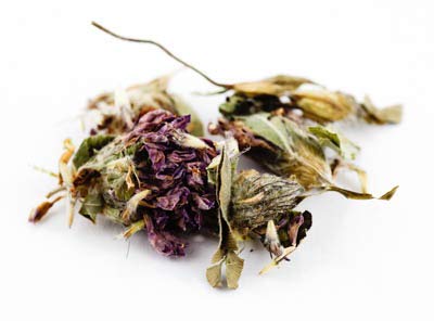 Rotkleeblüten, ganz BIO 100g von Dragonspice Naturwaren, ganz BIO 100g Rotkleeblüten, ganz BIO 100g von Dragonspice Naturwaren, ganz BIO 100g von Dragonspice Naturwaren