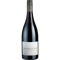 Vintages Spätburgunder St. Laurent Edition II (Bio) trocken - Dreissigacker - Deutscher Rotwein von Dreissigacker