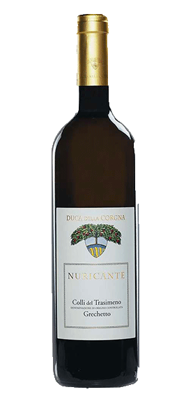 "Nuricante" Colli del Trasimeno DOC Grechetto 2023 "Nuricante" Colli del Trasimeno DOC Grechetto 2023 von Duca della Corgna