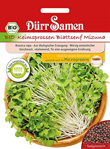 BIO-Keimsprossen Blattsenf Green Mizuna, Keimsaat Inhalt 20g von Dürr-Samen