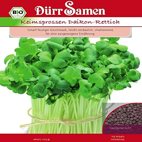 BIO Keimsprossen Daikon-Rettich - Inhalt: 75 g von Dürr-Samen