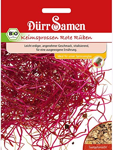BIO Keimsprossen Rote Rüben 30g von Dürr-Samen