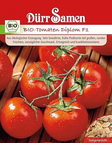 Bio TomatenSamen Diplom F1 Rote Tomate Tomatensamen ca 15 Korn Saatgut Robust Ertragreich Garten Hochbeet Kübel Dürr Samen von Dürr-Samen
