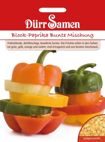 Block-Paprika Bunte Mischung von Dürr-Samen