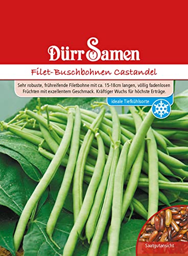 Bohnen Dürr Samen (Filet Buschbohnen Castandel) von Dürr-Samen