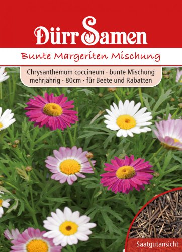 Bunte Margeriten Mischung von Dürr-Samen