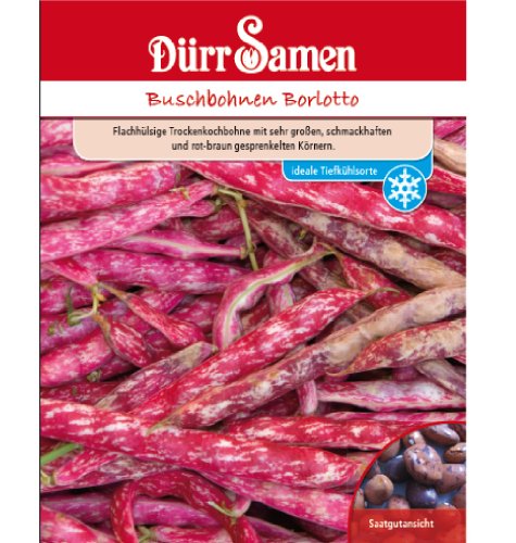 Buschbohnen Borlotto Buschbohnen Borlotto von Dürr-Samen