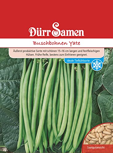 Buschbohnen Samen Yate Bohnensamen Grüne Bohnen ca 100 Korn Saatgut Gemüse Garten Hochbeet Kübel Dürr Samen Buschbohnen Samen Yate Bohnensamen Grüne Bohnen ca 100 Korn Saatgut Gemüse Garten Hochbeet Kübel Dürr Samen von Dürr-Samen