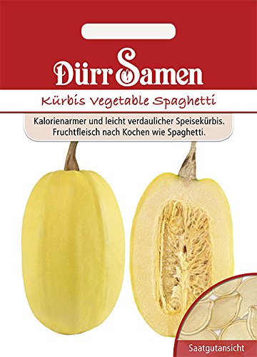 Dürr-Samen 1885 Kürbis vegetable Spaghetti (Spaghettikürbissamen) von Dürr-Samen