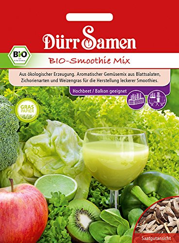Dürr Samen 4369 Bio-Schnittsalat Smoothie Mix (Bio-Schnittsalatsamen) von Dürr-Samen