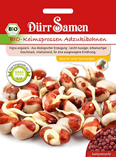 Dürr Samen 4473 Keimsprossen Adzukibohnen (Bio-Keimsprossen) von Dürr-Samen