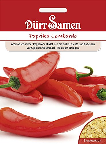 Dürr Samen Paprika Lombardo, milder Pepperoni von Dürr-Samen