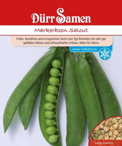 Markerbsen Salout, 250g von Dürr-Samen