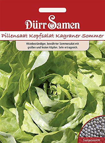 Pillensaat Kopfsalat Kagraner Sommer von Dürr-Samen