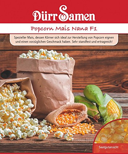 Popcorn Mais, Nana, Zea mays, ca. 25 Samen Popcorn Mais, Nana, Zea mays, ca. 25 Samen von Dürr-Samen