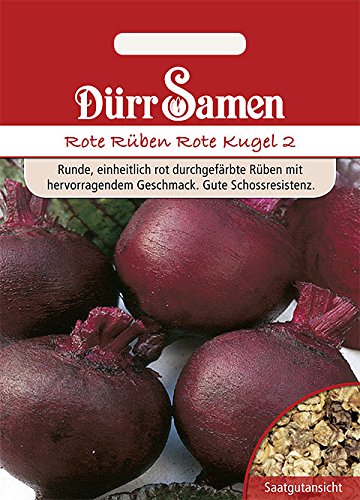 Rote Rüben Rote Kugel 2 von Dürr-Samen