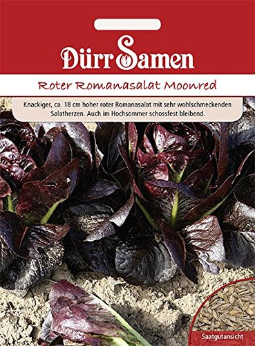 Roter Romanasalat Moonred Salatherzen von Dürr-Samen
