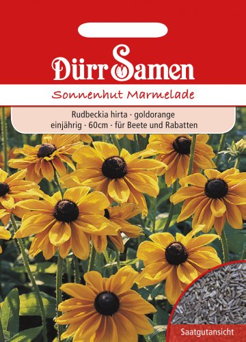 Sonnenhut Marmelade Sonnenhut Marmelade von Dürr-Samen