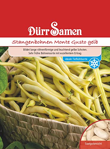 Stangenbohnen Samen Monte Gusto gelbe Bohnen Bohnensamen Fadenlos Hoher Ertrag ca 80 Korn Saatgut Gemüse Garten Hochbeet Kübel Dürr Samen Stangenbohnen Samen Monte Gusto gelbe Bohnen Bohnensamen Fadenlos Hoher Ertrag ca 80 Korn Saatgut Gemüse Garten Hochbeet Kübel Dürr Samen von Dürr-Samen