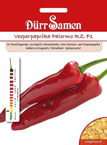 Vesperpaprika Palermo RZ F1 von Dürr-Samen