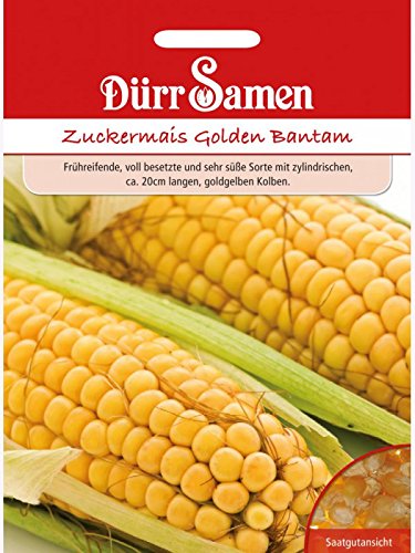 Zuckermais Golden Bantam Zuckermais Golden Bantam von Dürr-Samen